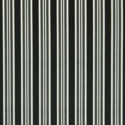 Clarke and Clarke WILMOTT EBONY