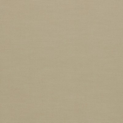 Clarke and Clarke PARADISO BUFF