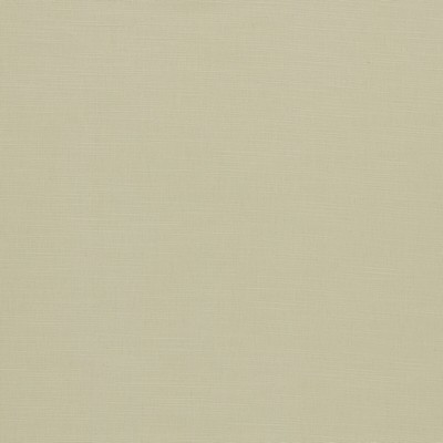 Clarke and Clarke PARADISO NATURAL