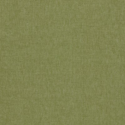 Clarke and Clarke PARADISO PALM