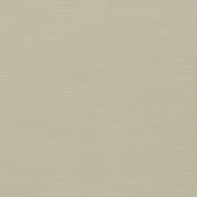 Clarke and Clarke PARADISO PEBBLE