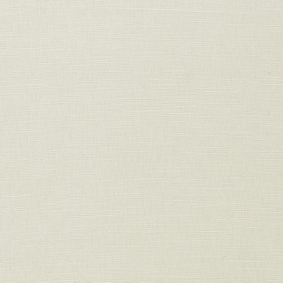 Clarke and Clarke PARADISO SNOW