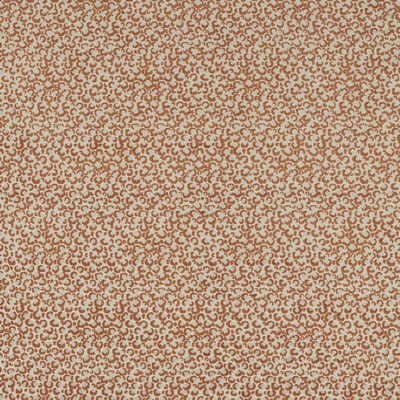 Clarke and Clarke POKOT SPICE