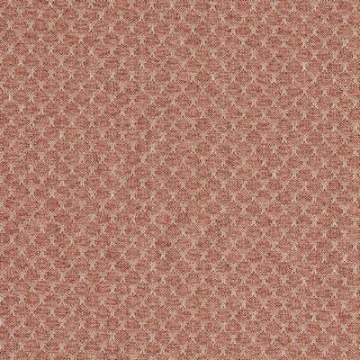 Clarke and Clarke TRELICA SPICE