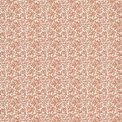 Clarke and Clarke SEABED CORAL