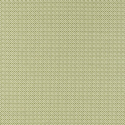 Clarke and Clarke GIVERNY SAGE