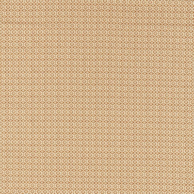 Clarke and Clarke GIVERNY SPICE