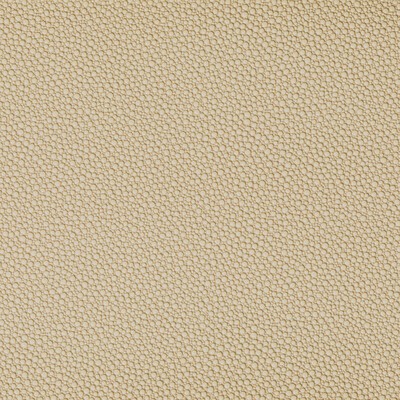Kravet FETCH SANDBAR