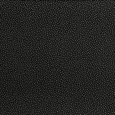 Kravet FETCH STARGAZER