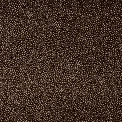 Kravet FETCH BURNISH