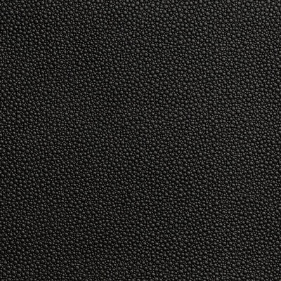 Kravet FETCH STALLION