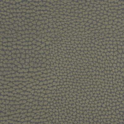 Kravet FORGETFUL GREYSTONE
