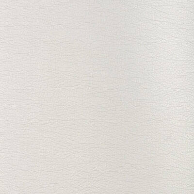 Kravet GALLEON 1