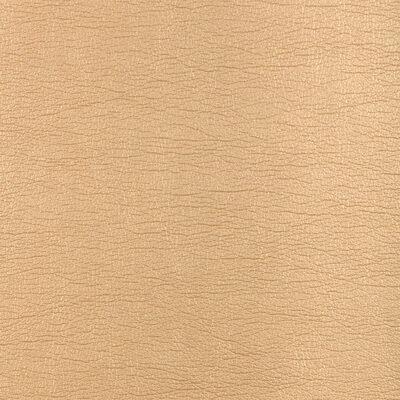 Kravet GALLEON 416