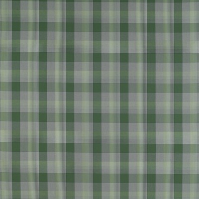 Kravet PRECIADOS VERDE