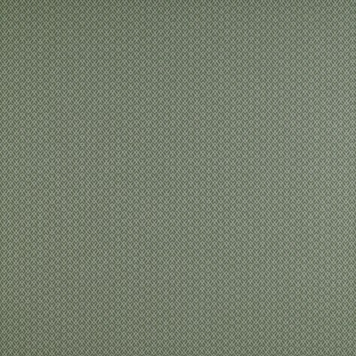 Kravet CHUECA VERDE