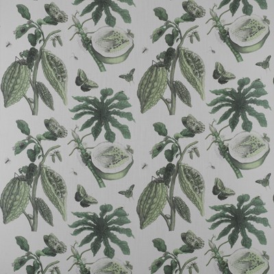 Kravet RETIRO VERDE