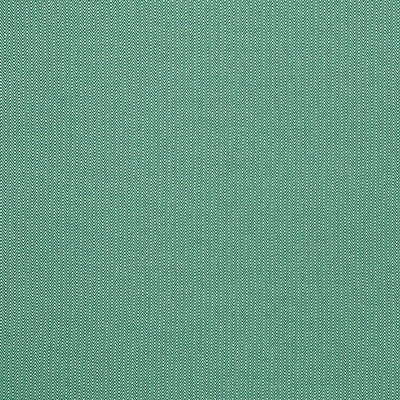 Kravet DONALD VERDE