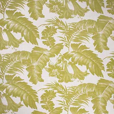 Kravet PLANTATION VERDE LIMA