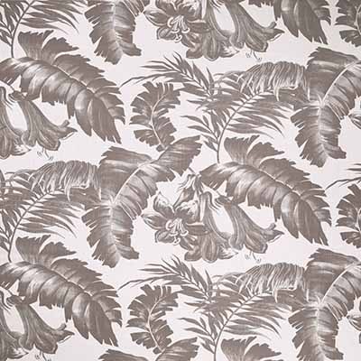 Kravet PLANTATION GRIS PERLA