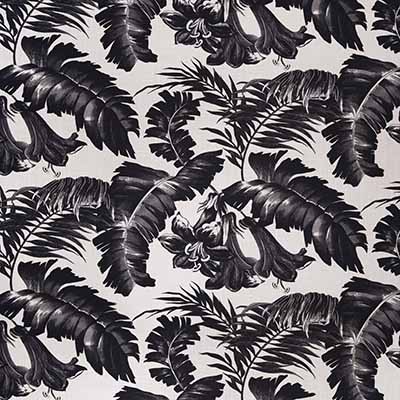 Kravet PLANTATION BLACK 