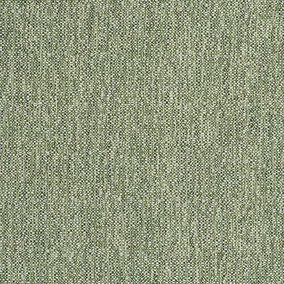 Kravet IN VERDE