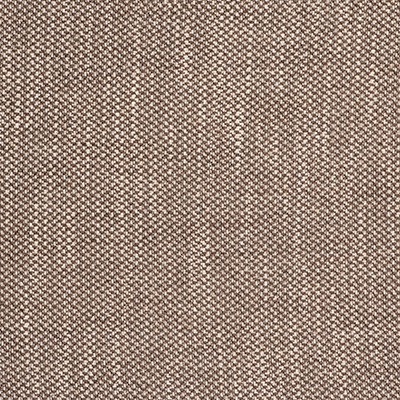 Kravet ACACIA TOSTADO