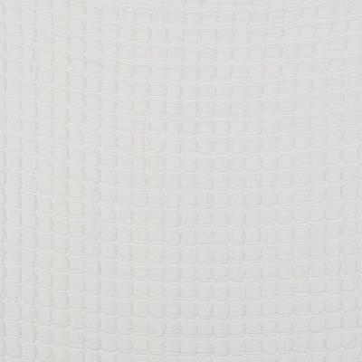 Kravet MORERA BLANCO