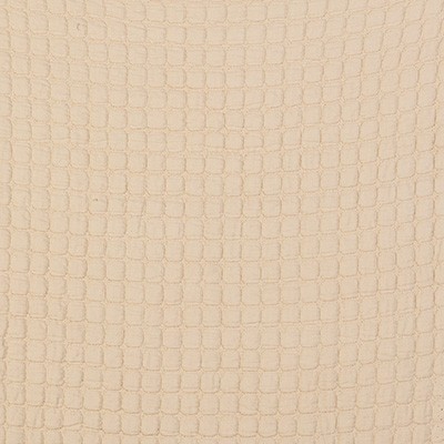 Kravet MORERA CRUDO