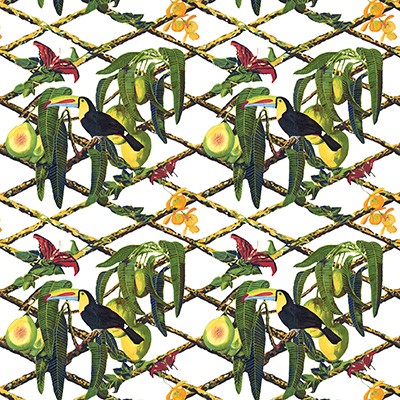 Kravet TUCAN FONDO BLANCO