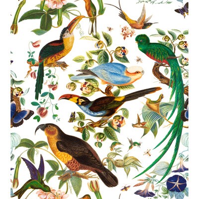 Kravet OAXACA BLANCO