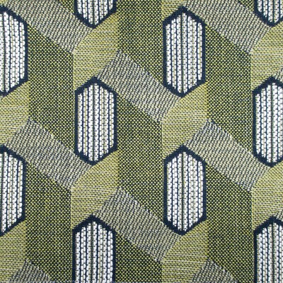 Kravet MAYA VERDE