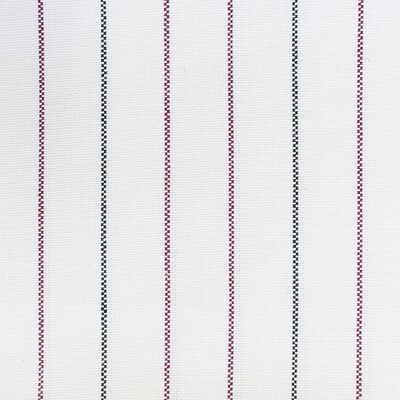 Kravet CHICAGO BERENJENA