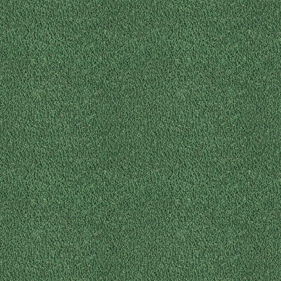 Kravet APACHE VERDE