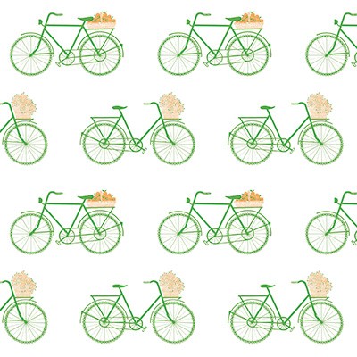 Kravet Wallcovering BICICLETAS VERDE