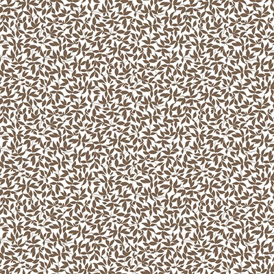 Kravet Wallcovering HIEDRA TOSTADO