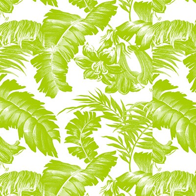 Kravet Wallcovering PLANTATION VERDE