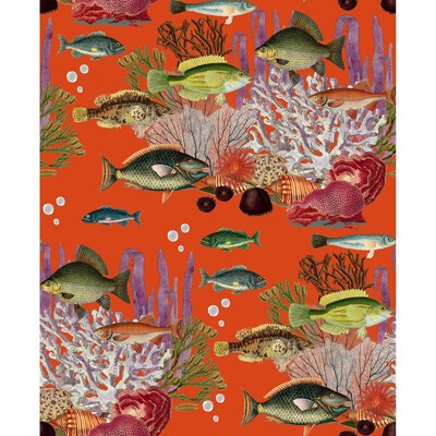 Kravet Wallcovering CORALES QUISQUILLA