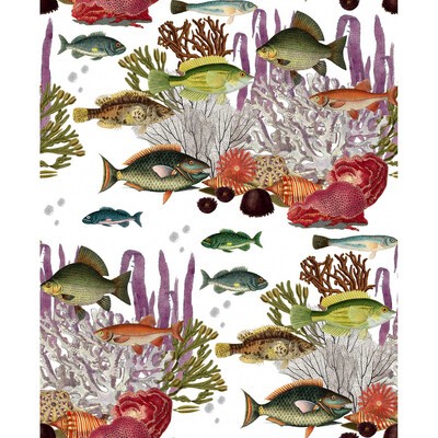 Kravet Wallcovering CORALES BLANCO