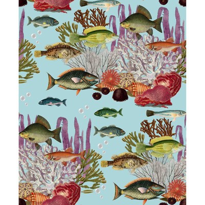 Kravet Wallcovering CORALES AGUA