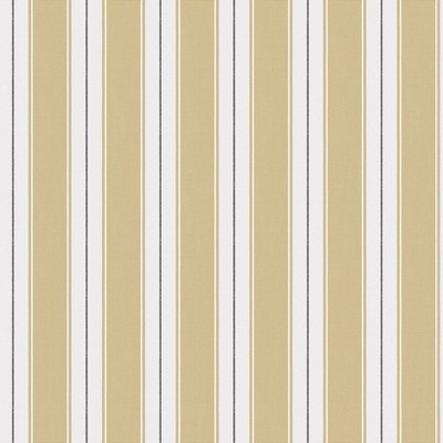 Kravet Wallcovering BAYONA OCRE