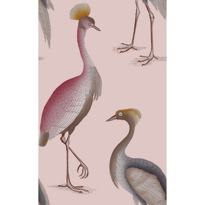 Kravet Wallcovering GARZAS ROSA