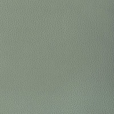 Kravet GILLIAN 1313