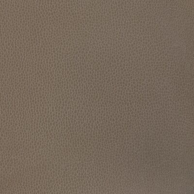 Kravet GILLIAN 1611