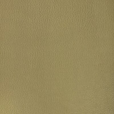 Kravet GILLIAN 23