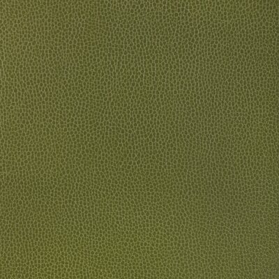 Kravet GILLIAN 33