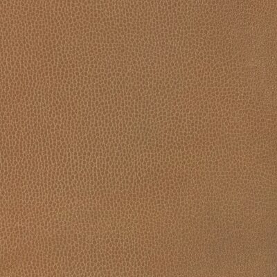 Kravet GILLIAN 6116