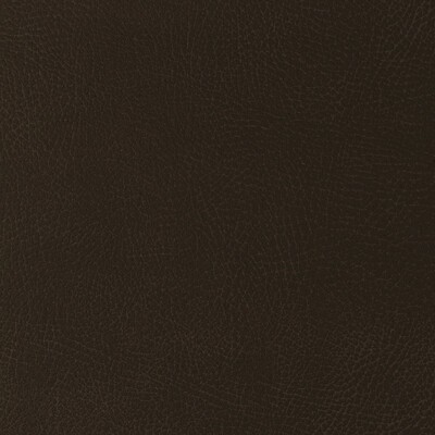 Kravet GLENDALE 6166