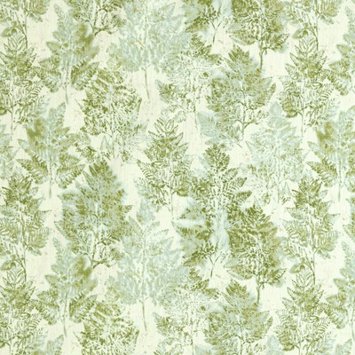 Kravet HEIKI FERN LINDEN