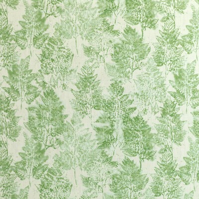 Kravet HEIKI FERN EMERALD